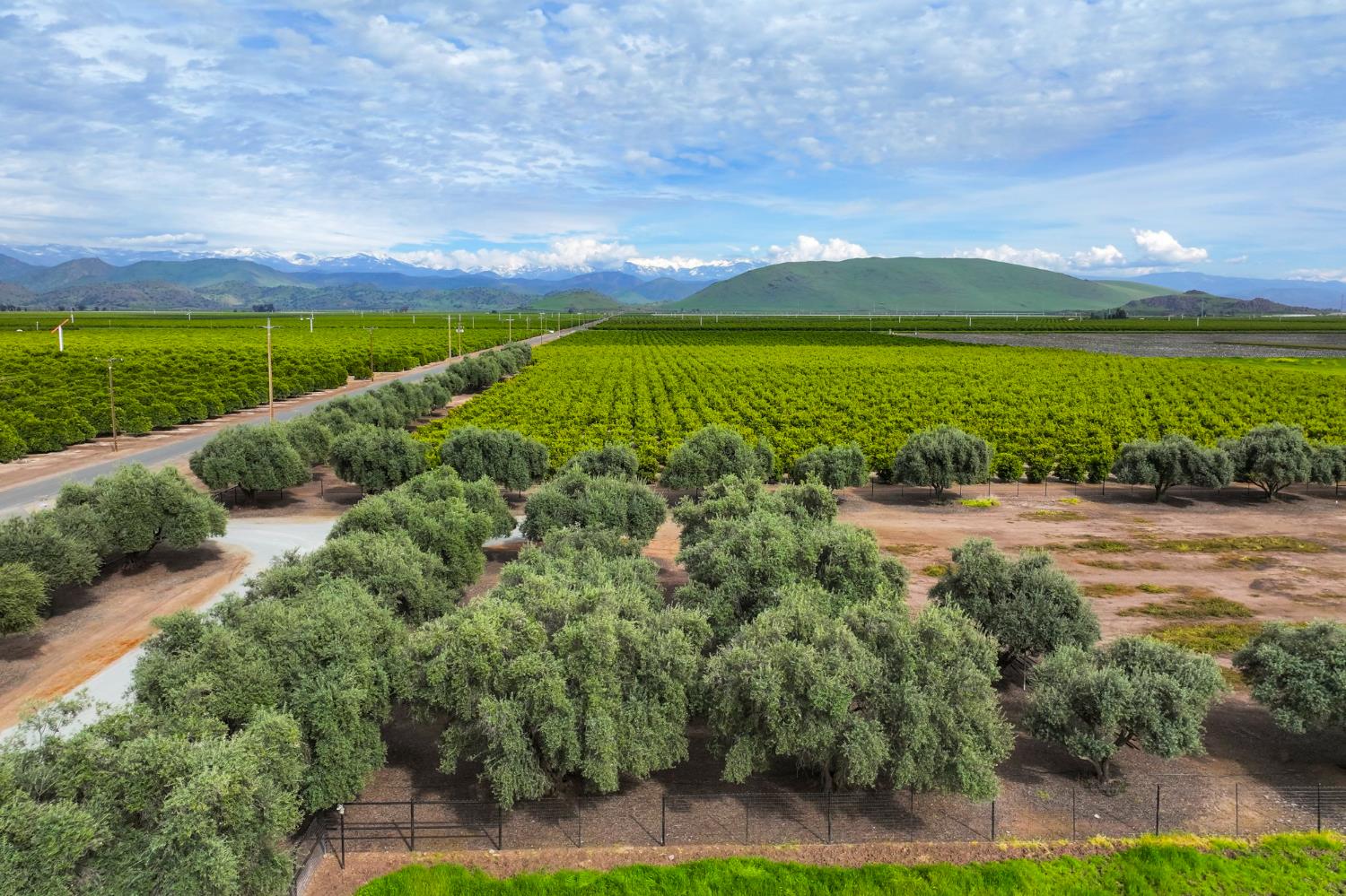 15725 Avenue 376, Visalia, CA 93292