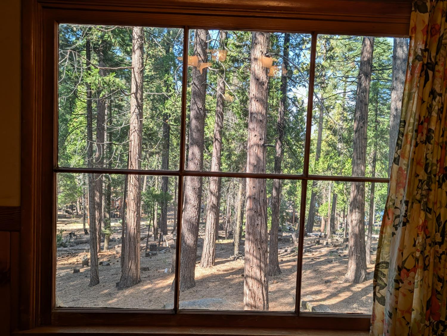 64960 Stellar Jay, Unincorporated, CA 93628