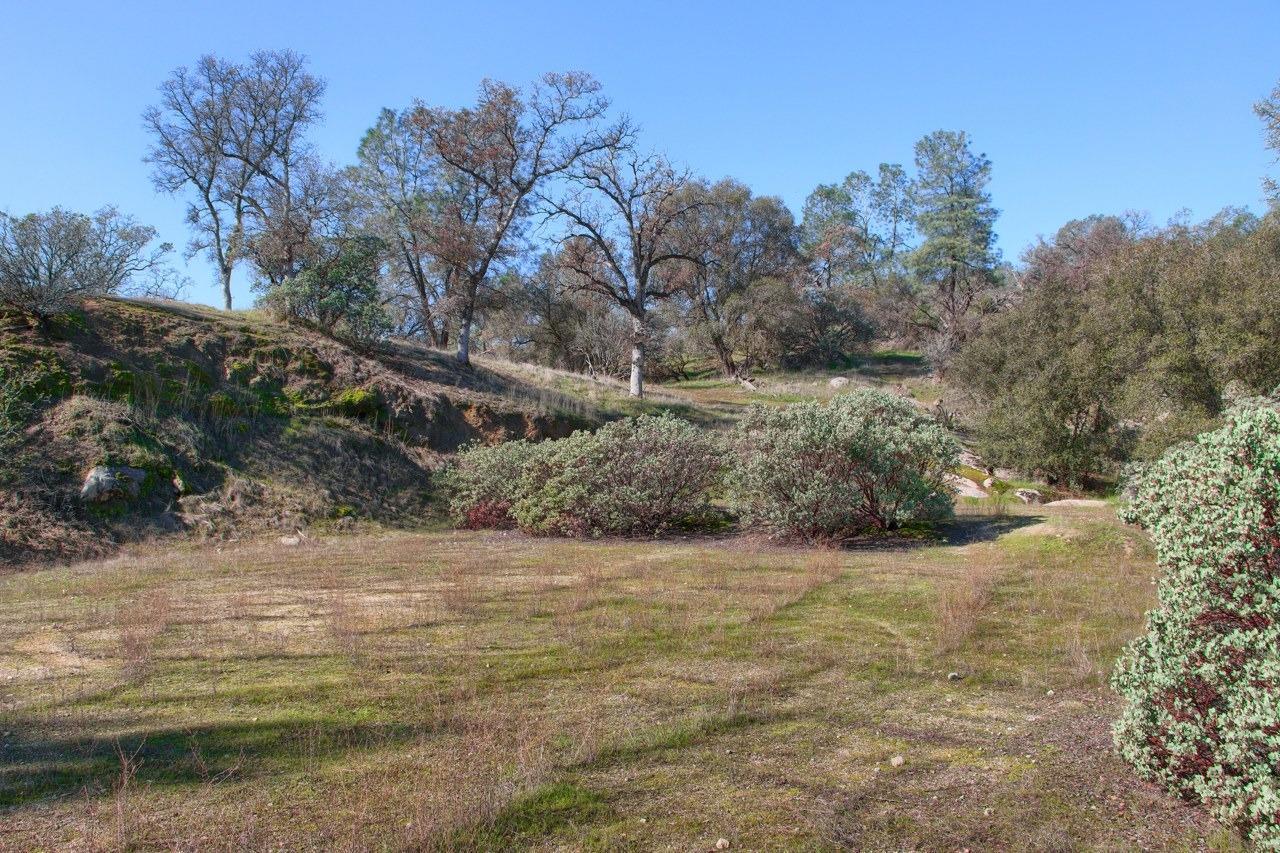 0 6.48 AC Long Hollow Dr, Coarsegold, CA 93614