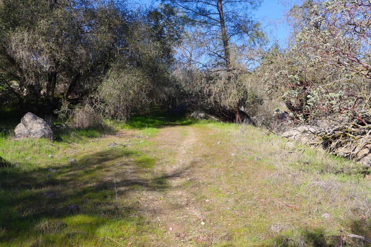 0 6.48 AC Long Hollow Dr, Coarsegold, CA 93614