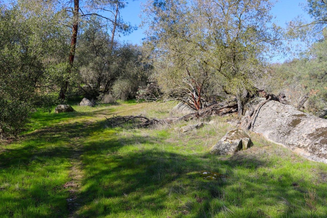 0 6.48 AC Long Hollow Dr, Coarsegold, CA 93614