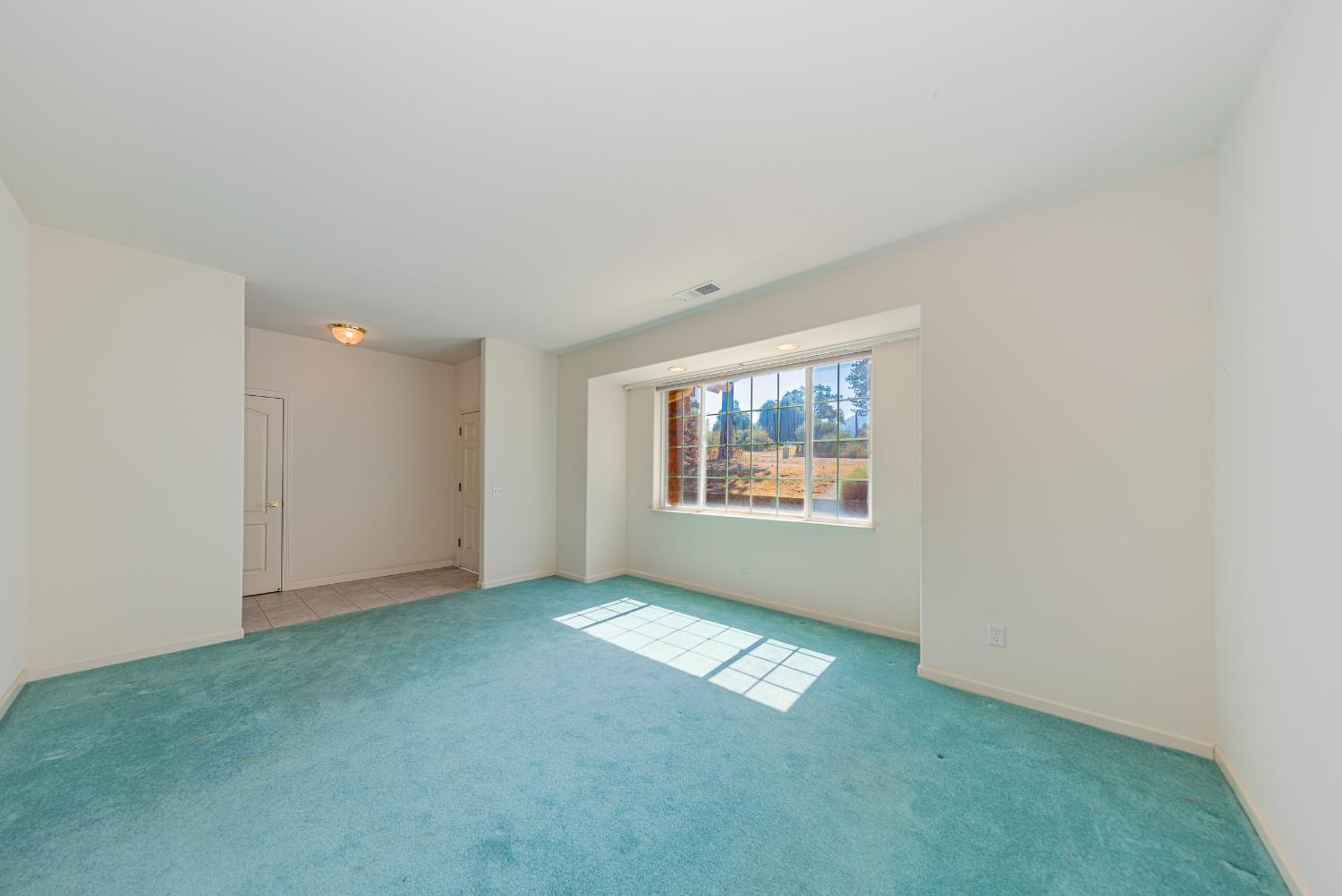 41028 Shandee Ln, Ahwahnee, CA 93601