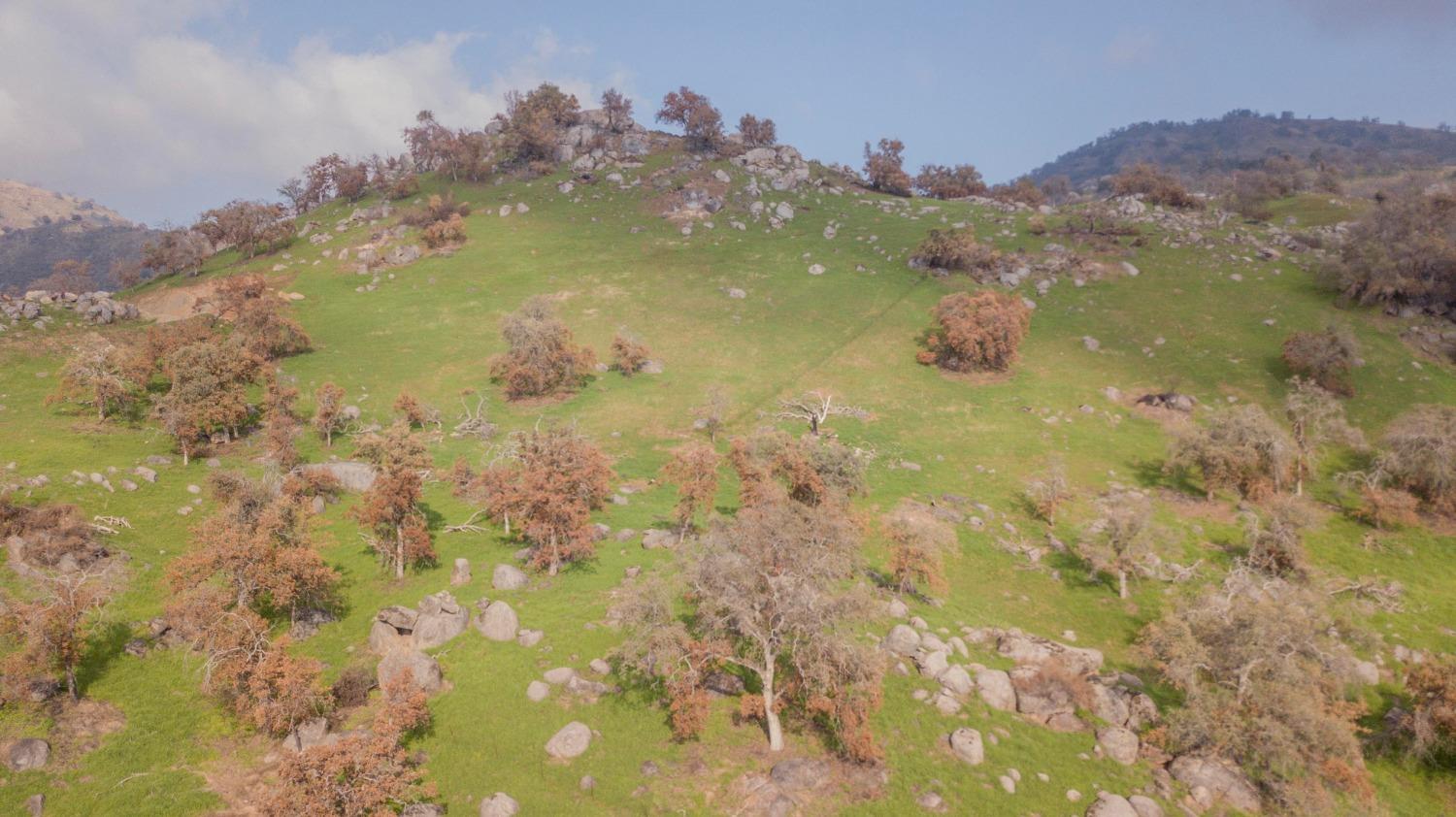 38938 Pepperweed Rd, Yokuts Valley, CA 93675