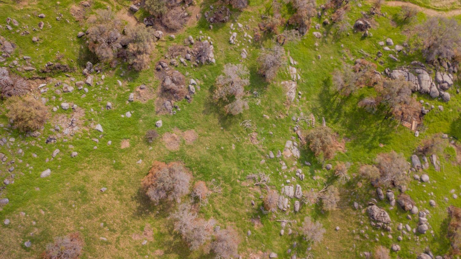 38938 Pepperweed Rd, Yokuts Valley, CA 93675