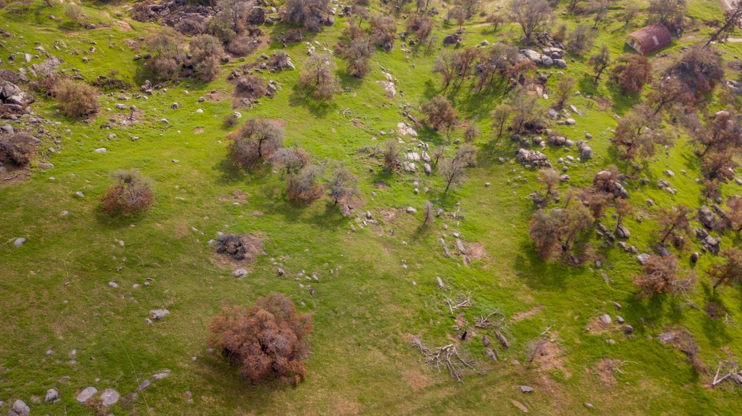 38938 Pepperweed Rd, Yokuts Valley, CA 93675