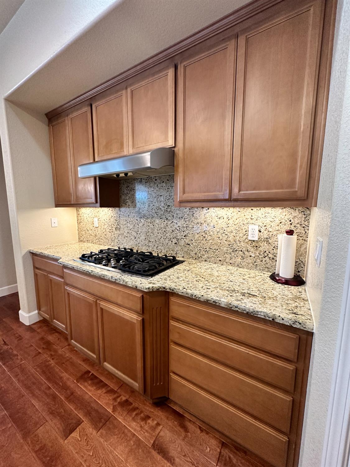 1040 Birch Run Way, Manteca, CA 95336