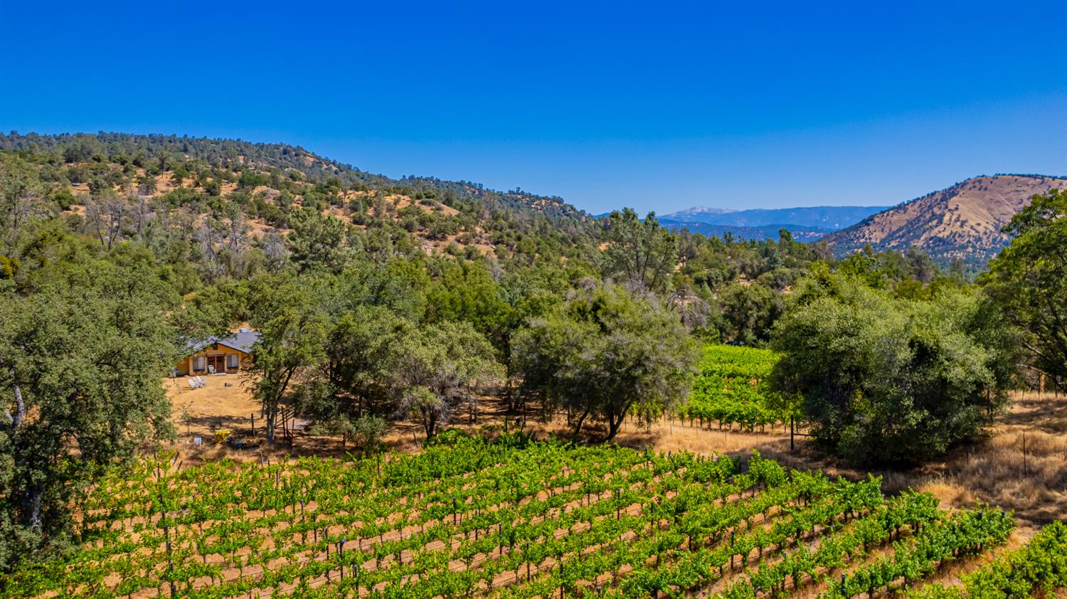 49610 House Ranch Rd, O neals, CA 93645