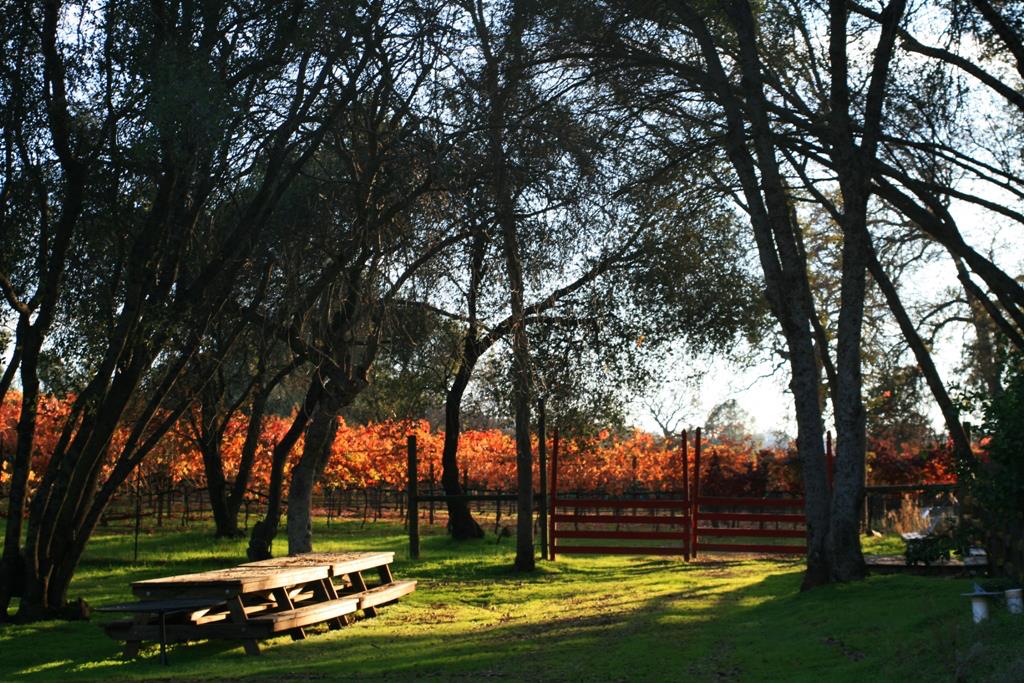 49610 House Ranch Rd, O neals, CA 93645