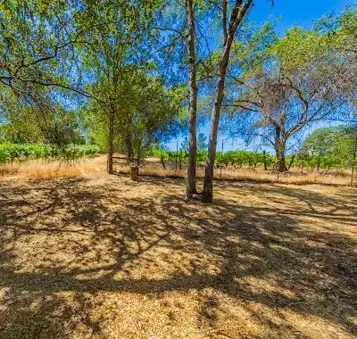 49610 House Ranch Rd, O neals, CA 93645