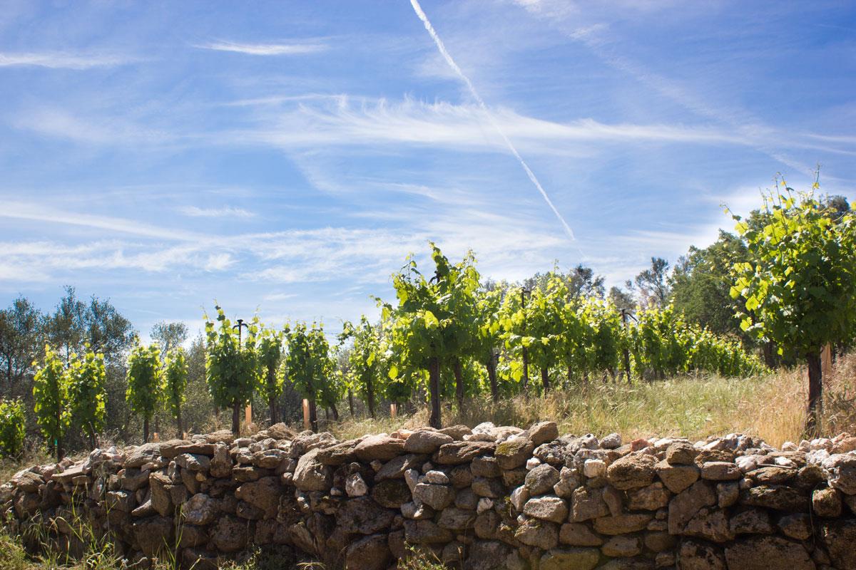 49610 House Ranch Rd, O neals, CA 93645