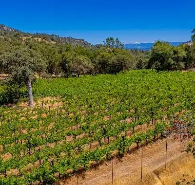 49610 House Ranch Rd, O neals, CA 93645