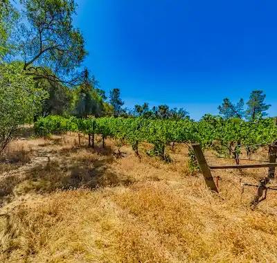 49610 House Ranch Rd, O neals, CA 93645