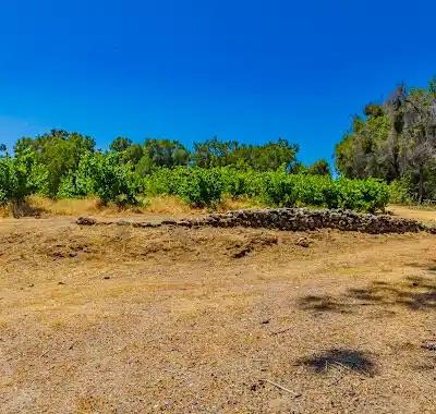 49610 House Ranch Rd, O neals, CA 93645