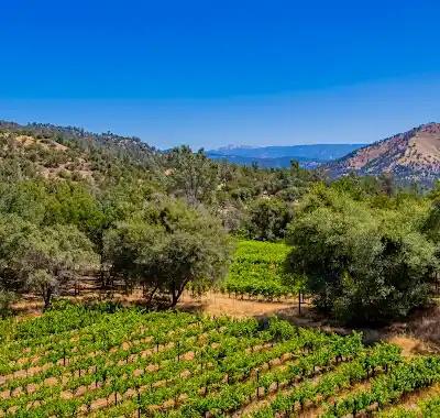 49610 House Ranch Rd, O neals, CA 93645