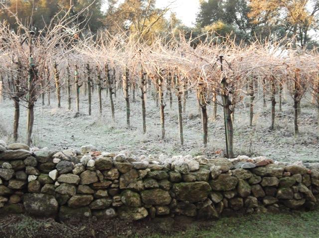 49610 House Ranch Rd, O neals, CA 93645