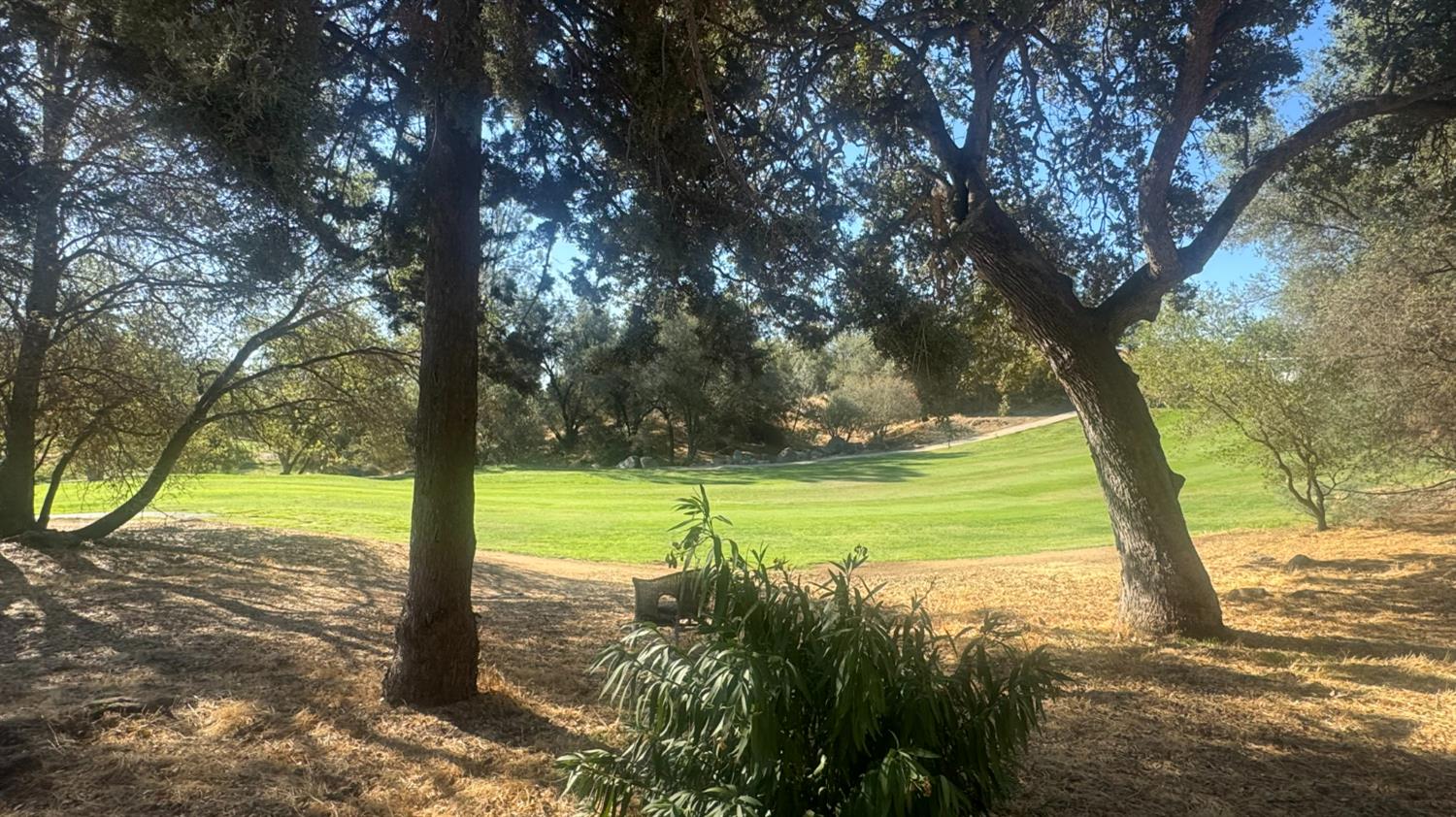 31160 Revis Rd, Coarsegold, CA 93614