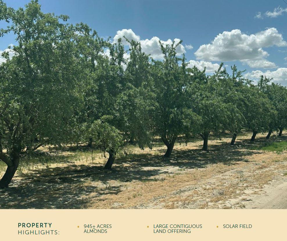 12250 S Jameson Ave, Caruthers, CA 93706