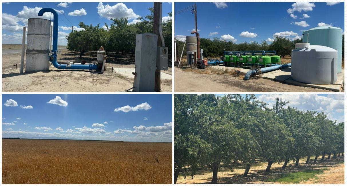 12250 S Jameson Ave, Caruthers, CA 93706