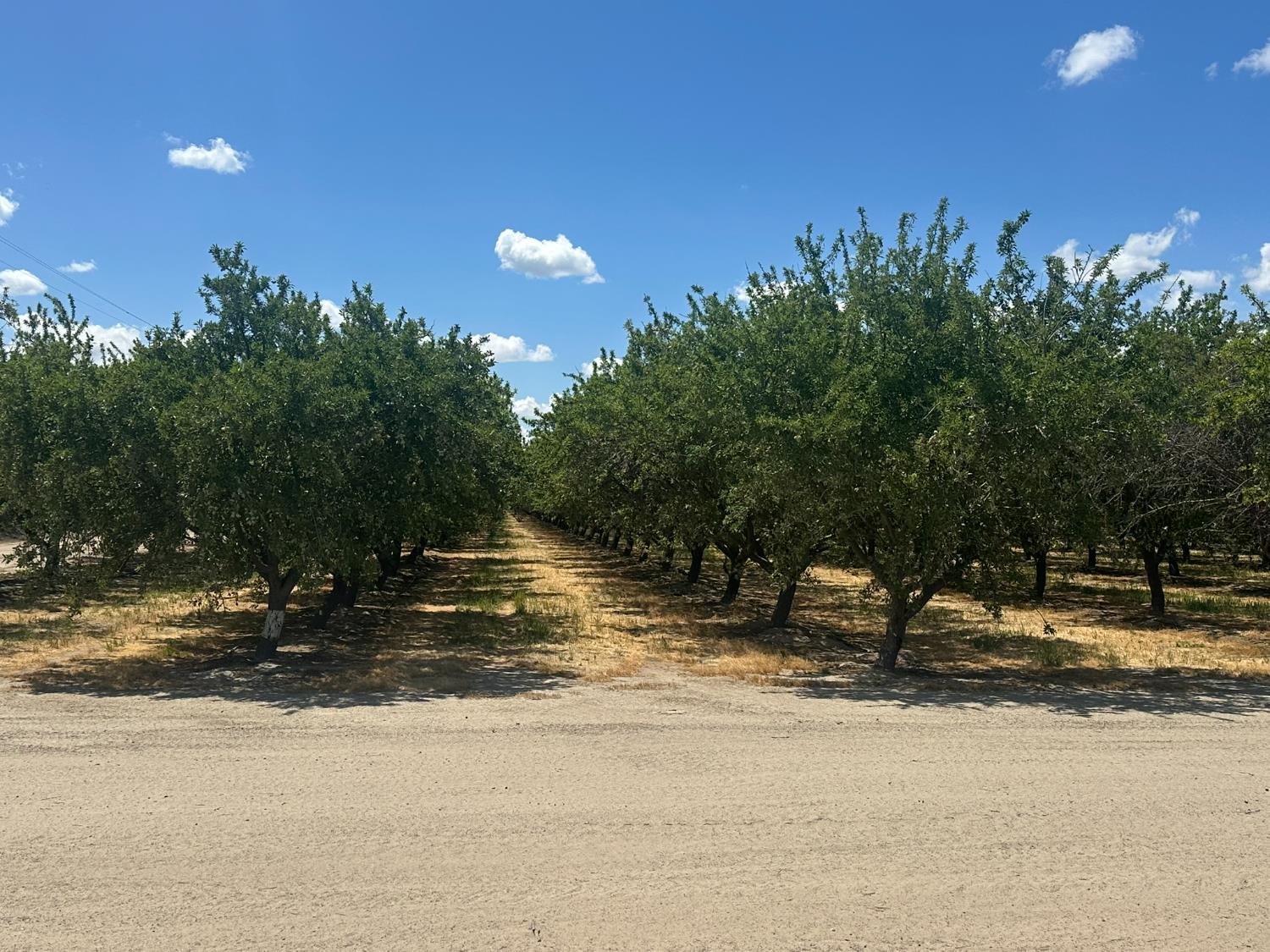 12250 S Jameson Ave, Caruthers, CA 93706