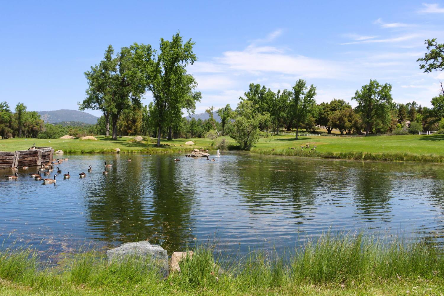 41345 Singing Hills Cir, Ahwahnee, CA 93601