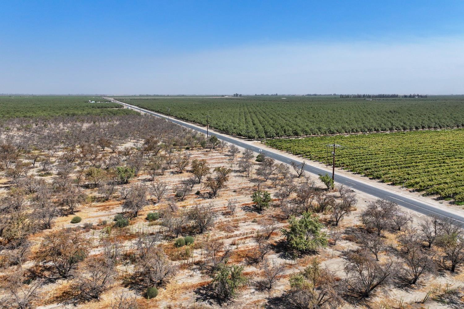 0 0 Avenue 72, Earlimart, CA 93219