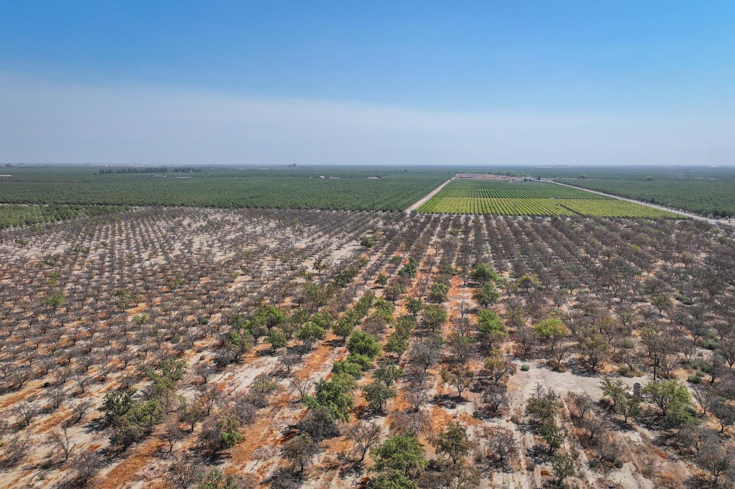 0 0 Avenue 72, Earlimart, CA 93219