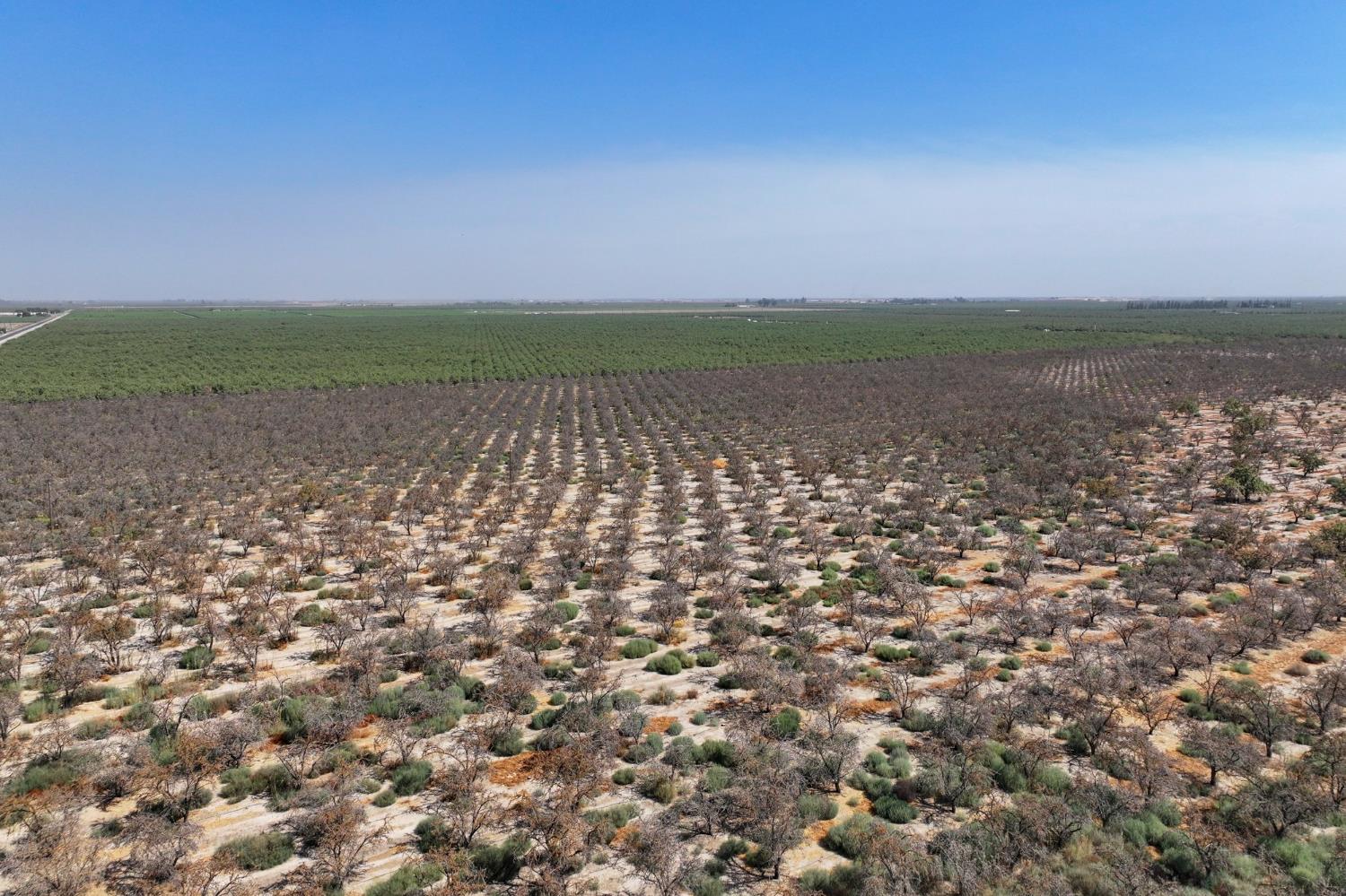 0 0 Avenue 72, Earlimart, CA 93219