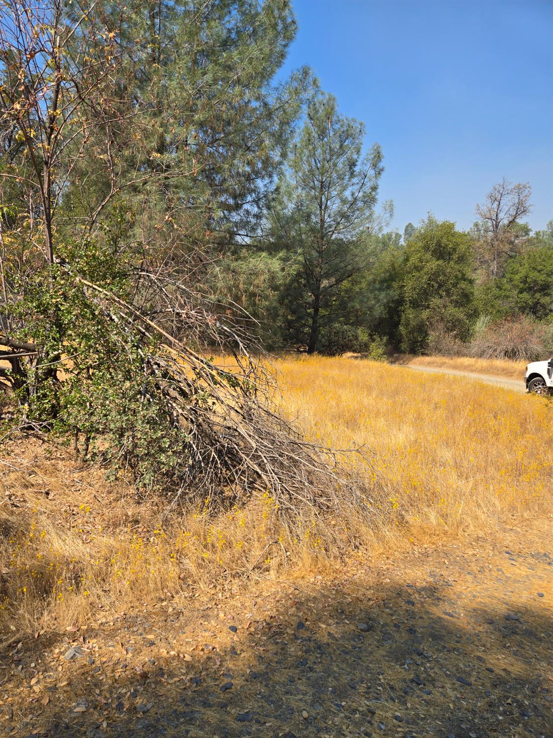 3813 Jones Creek Road, Mariposa, CA 95338