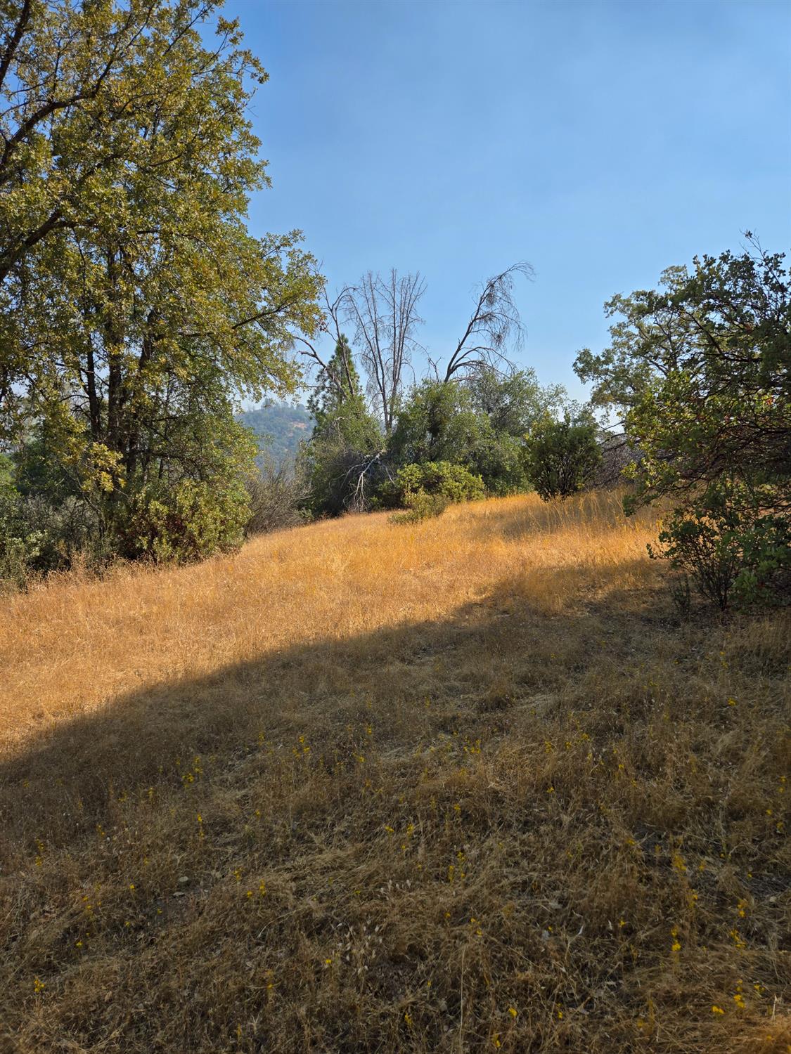 3813 Jones Creek Road, Mariposa, CA 95338