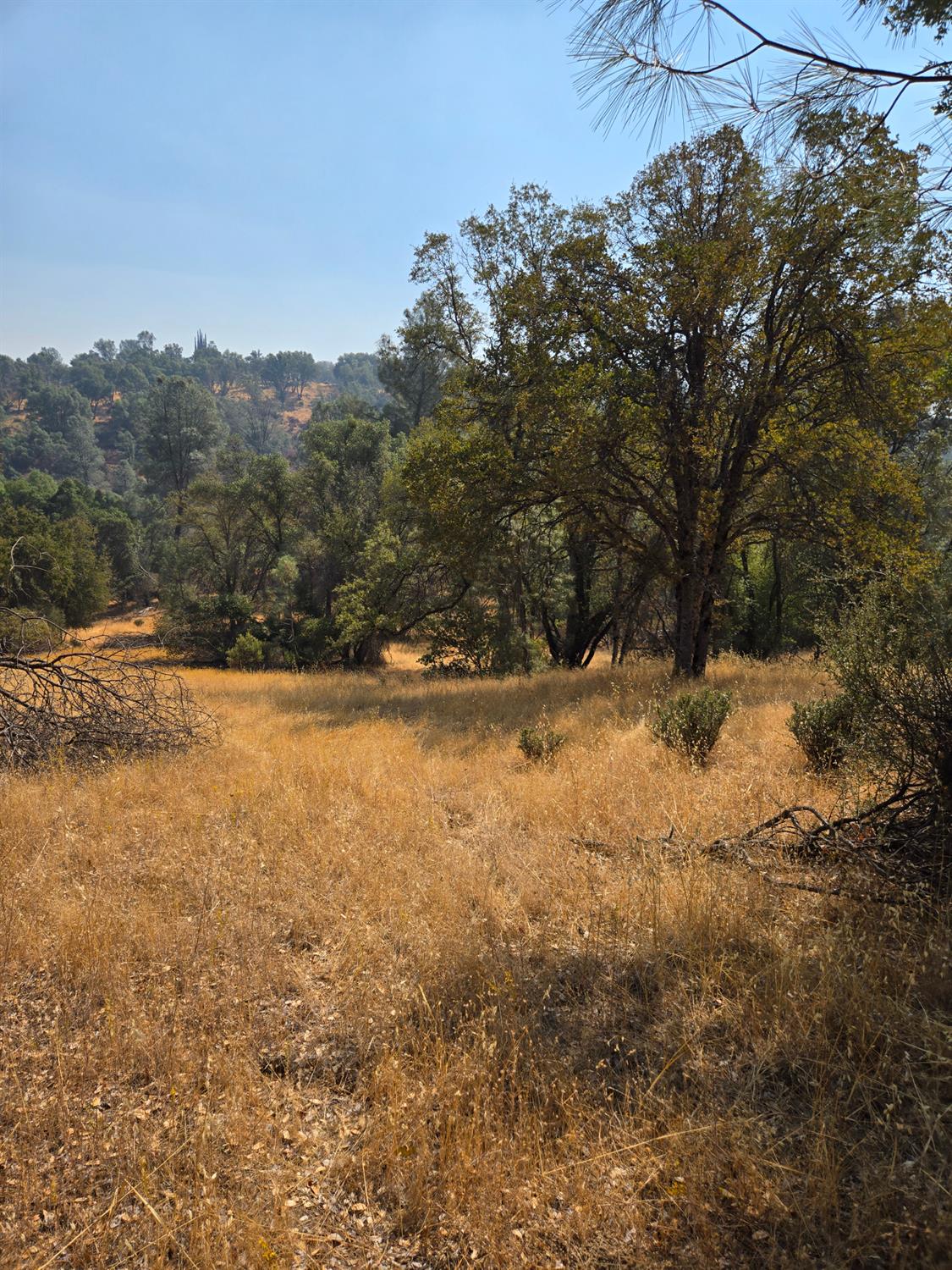 3813 Jones Creek Road, Mariposa, CA 95338