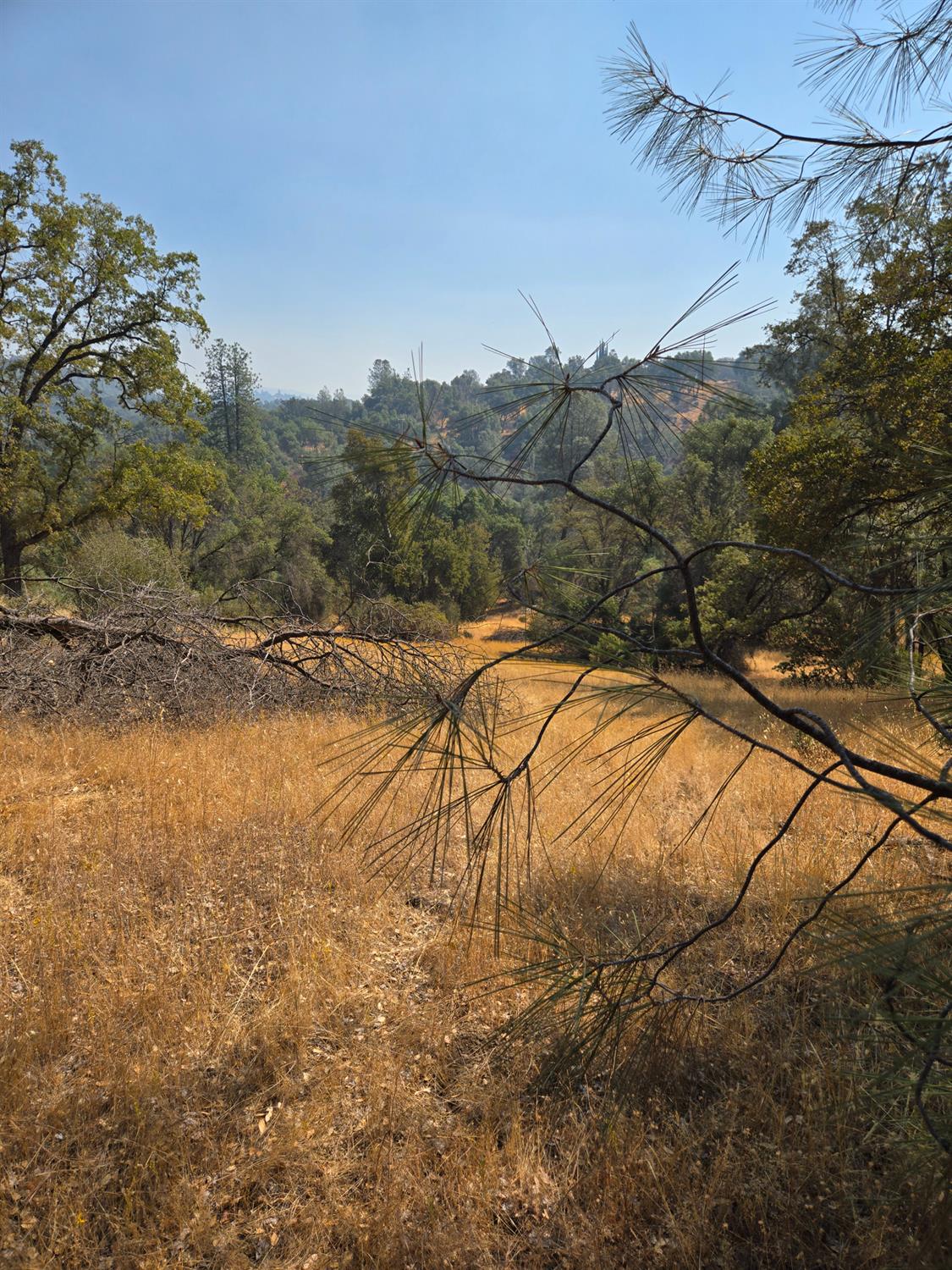 3813 Jones Creek Road, Mariposa, CA 95338