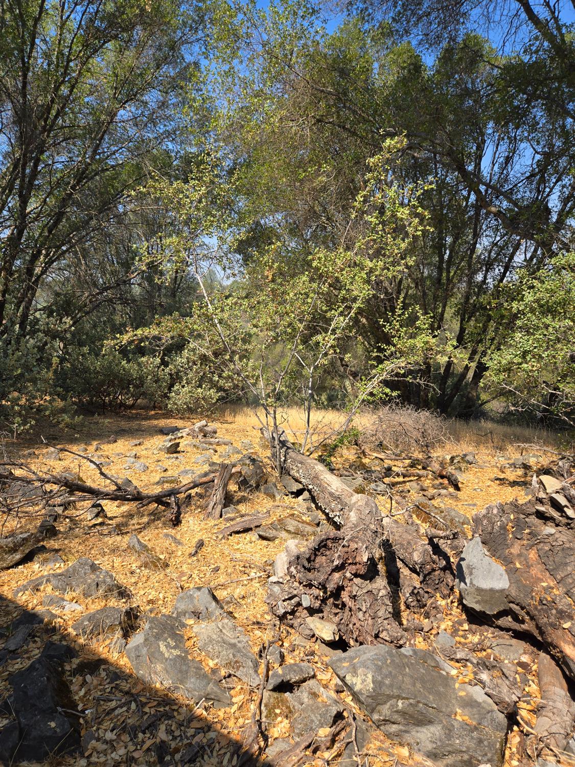 3813 Jones Creek Road, Mariposa, CA 95338