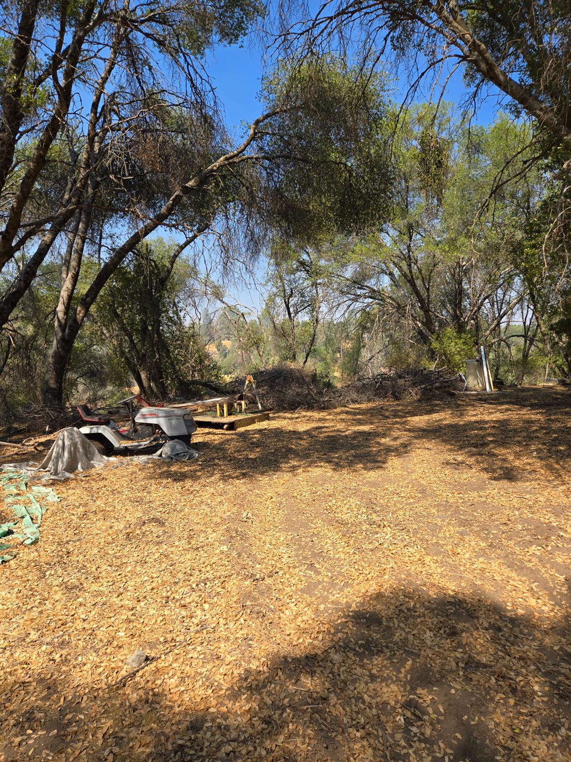 3813 Jones Creek Road, Mariposa, CA 95338