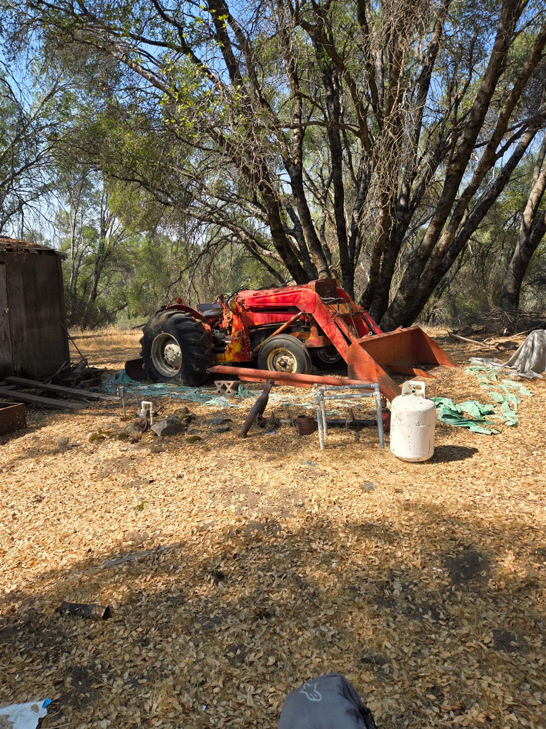 3813 Jones Creek Road, Mariposa, CA 95338