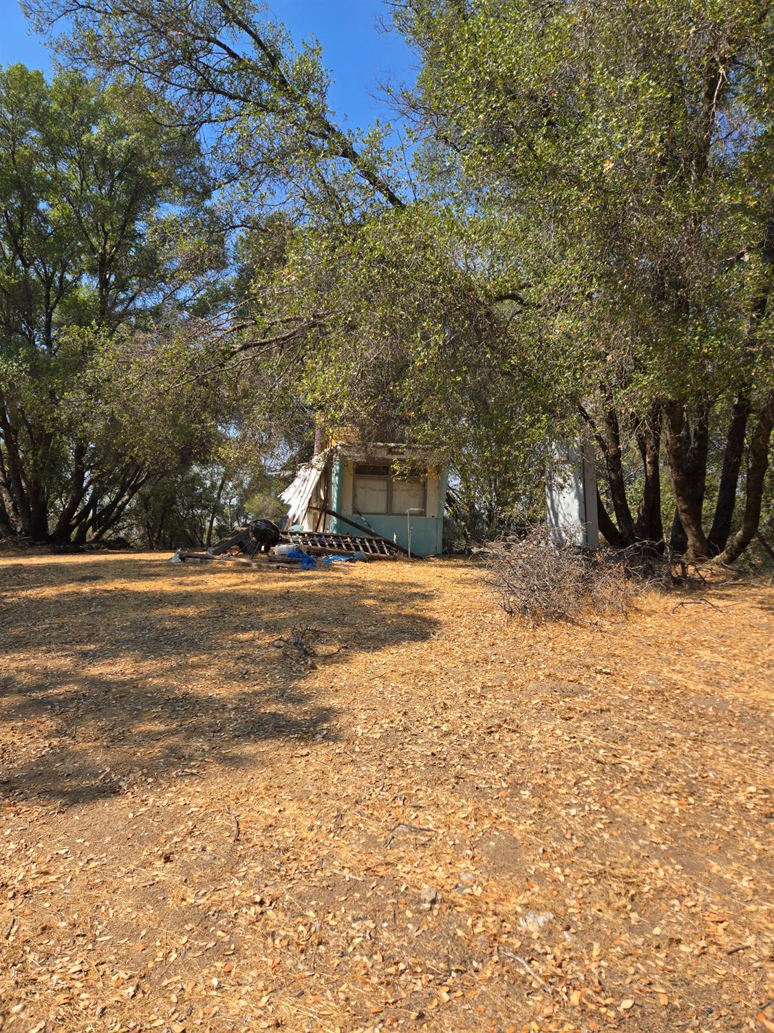 3813 Jones Creek Road, Mariposa, CA 95338