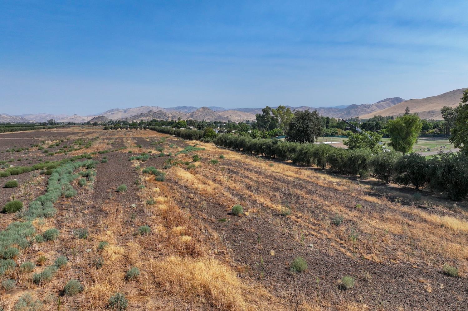 0 0 Naranjo Ave, Woodlake, CA 93286