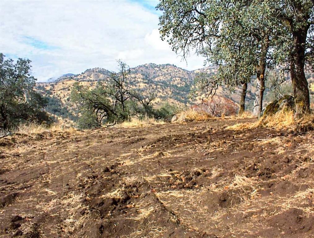 28 Totem Lane, Yokuts Valley, CA 93675