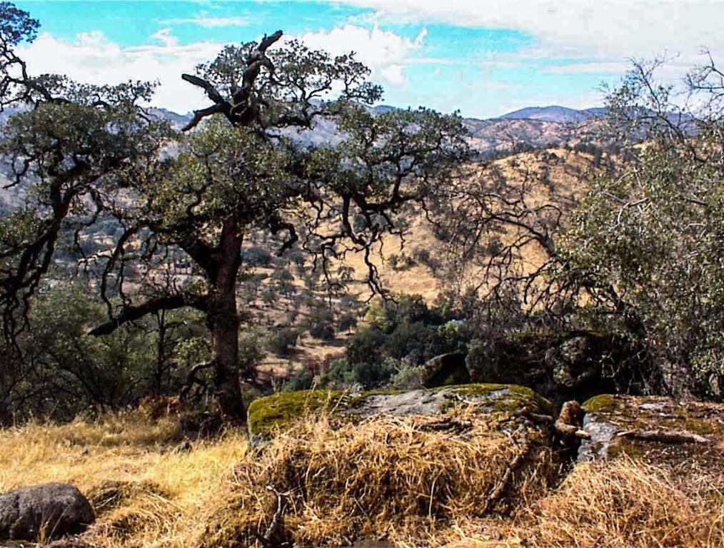 28 Totem Lane, Yokuts Valley, CA 93675