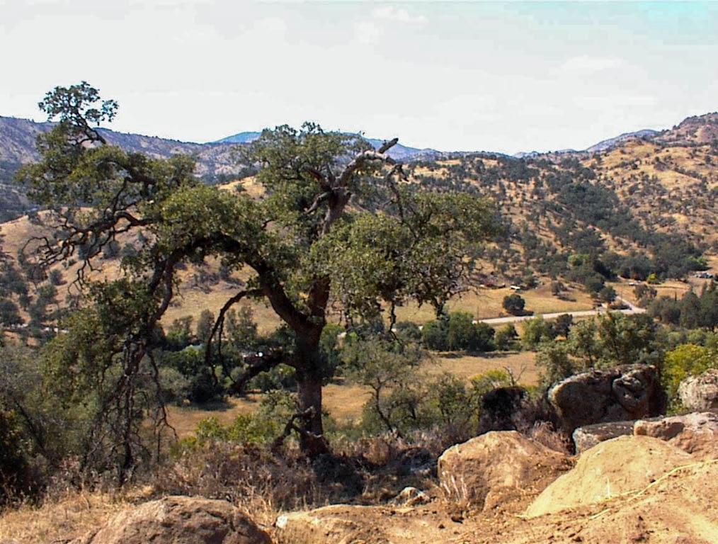 28 Totem Lane, Yokuts Valley, CA 93675