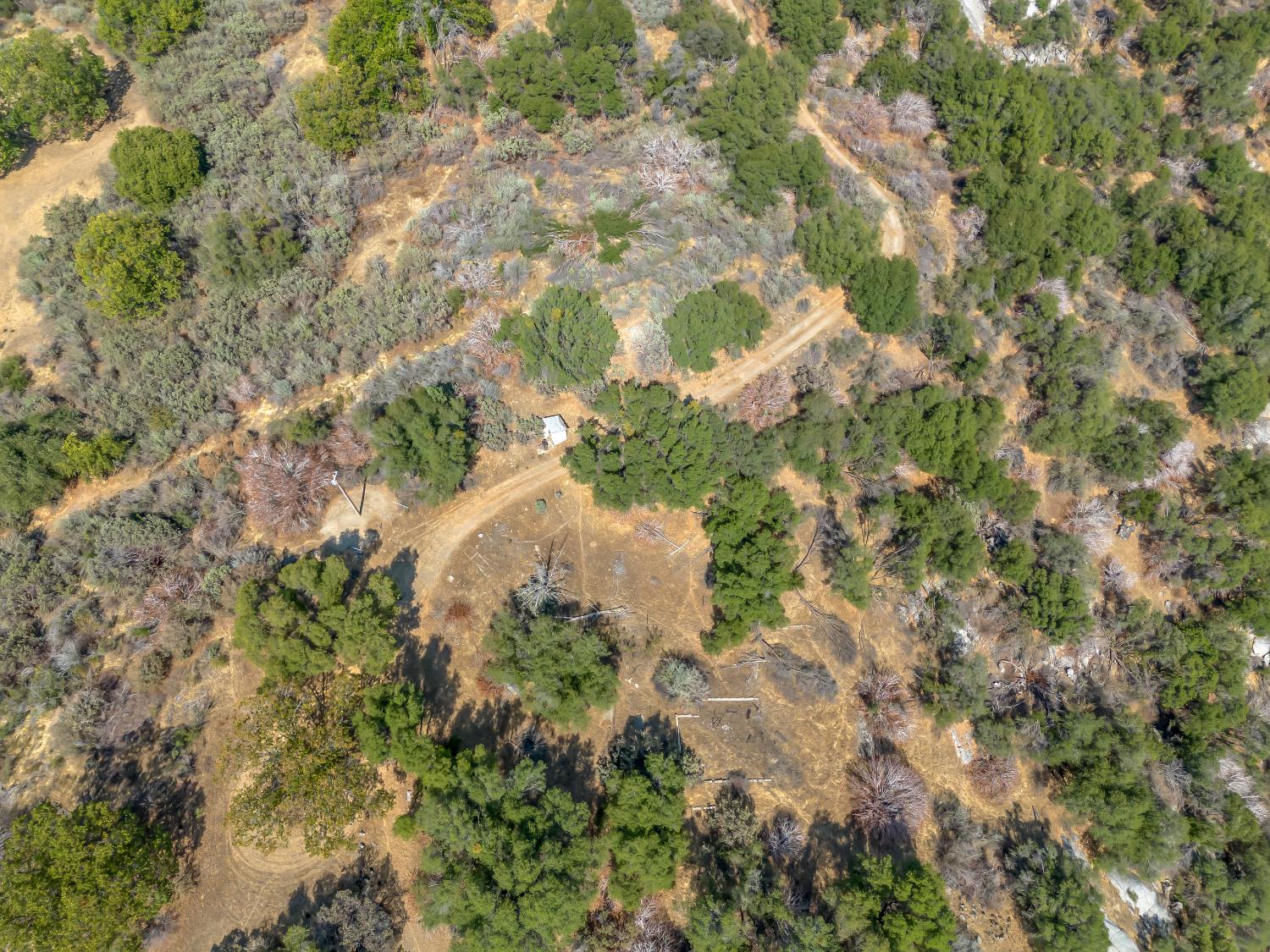 58569 Road 601, Ahwahnee, CA 93601