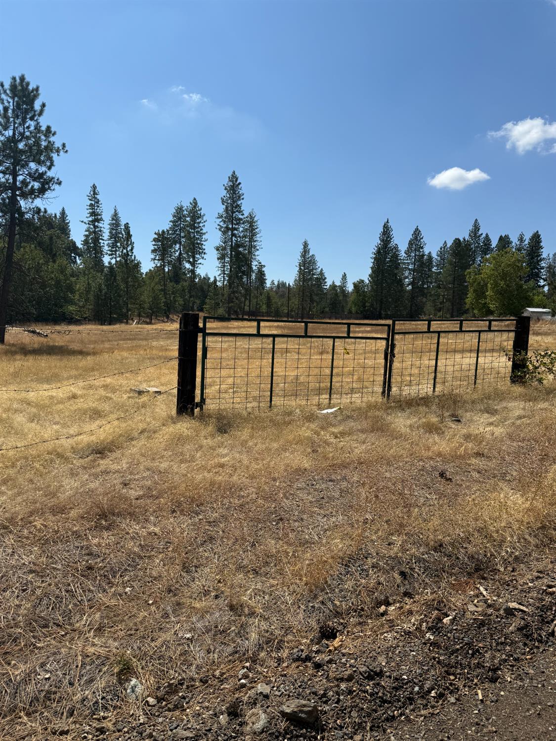 6479 Pine Dr., Coulterville, CA 96311