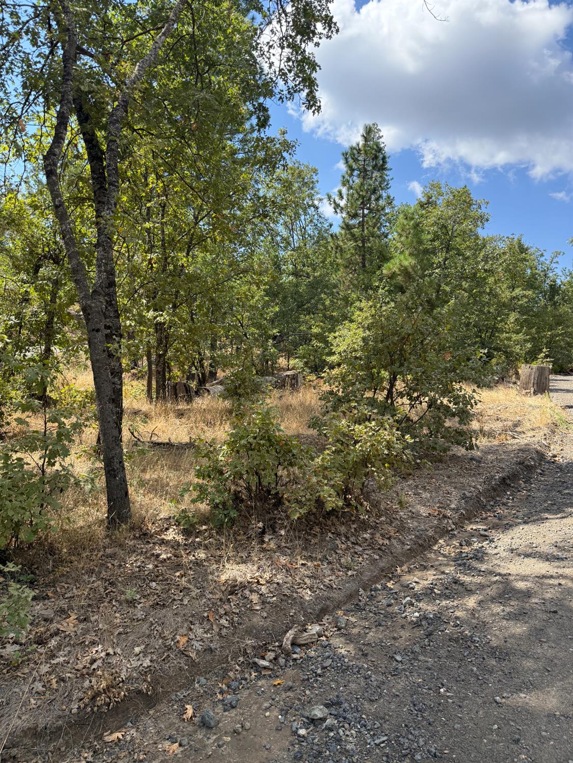 6479 Pine Dr., Coulterville, CA 96311