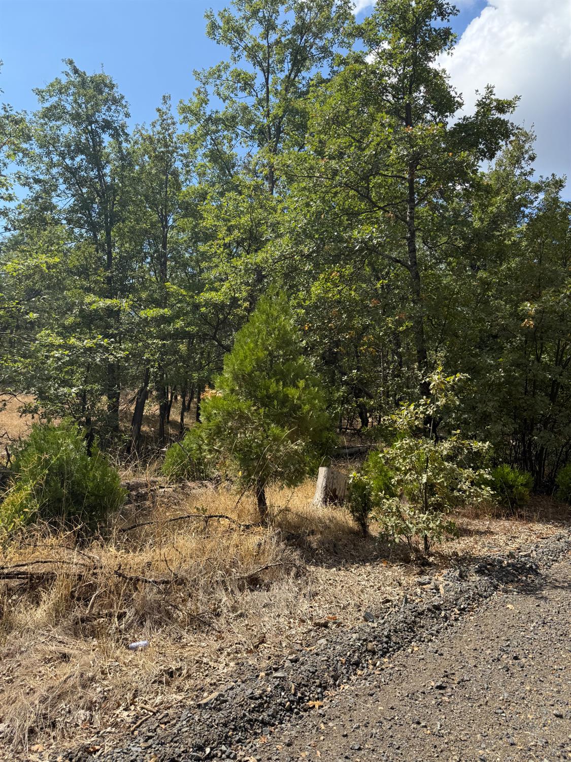 6479 Pine Dr., Coulterville, CA 96311