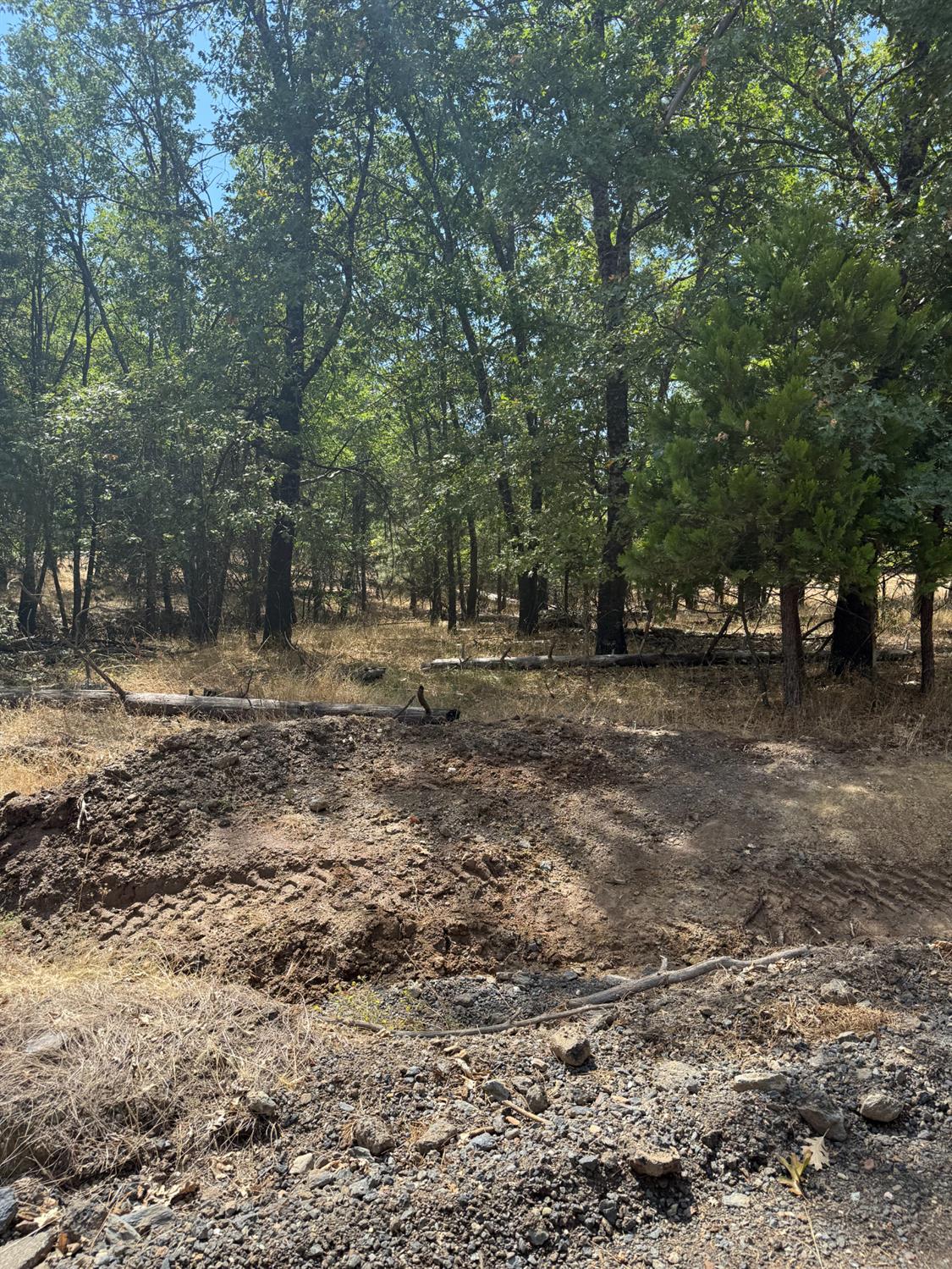 6479 Pine Dr., Coulterville, CA 96311