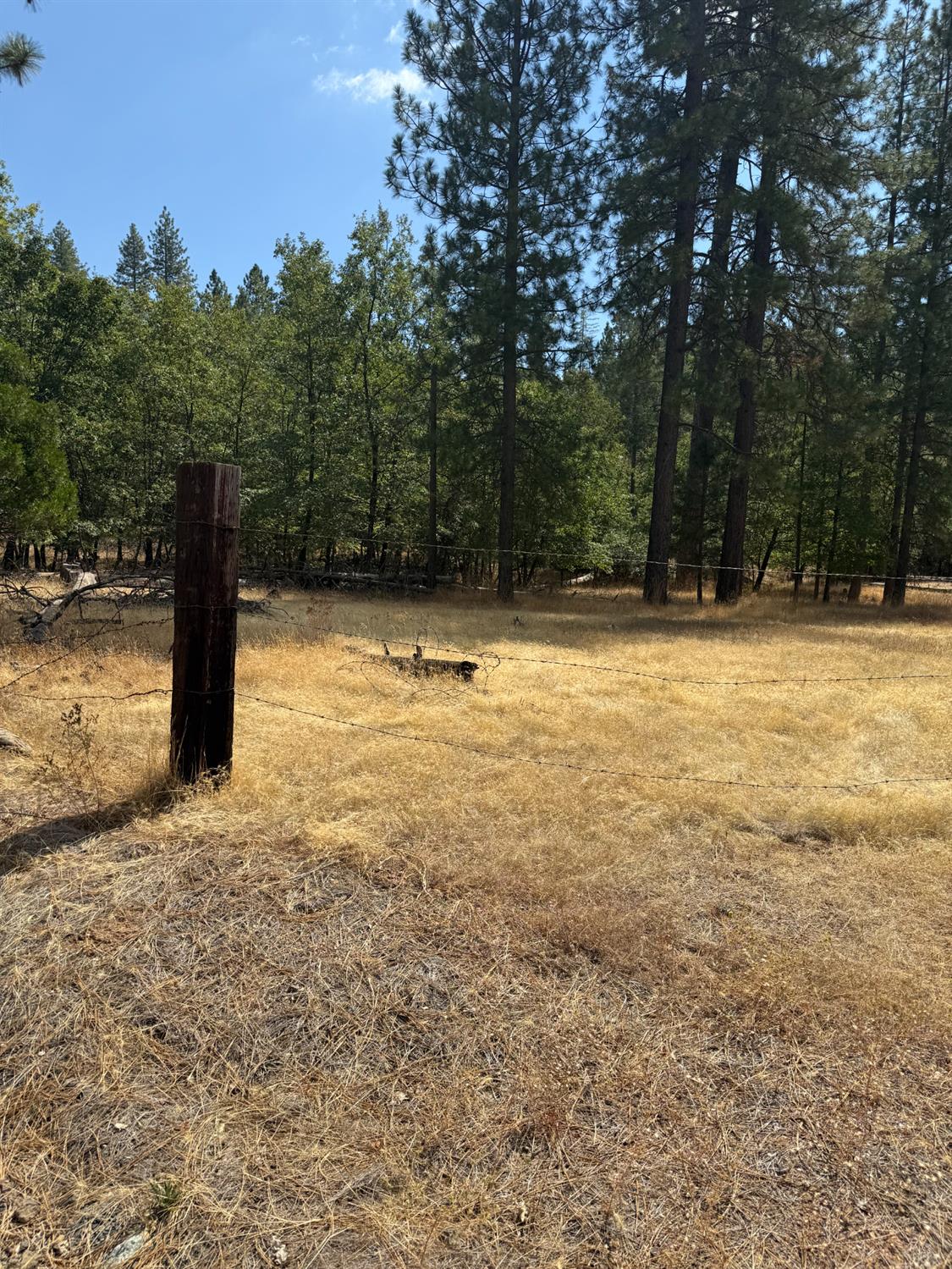 6479 Pine Dr., Coulterville, CA 96311