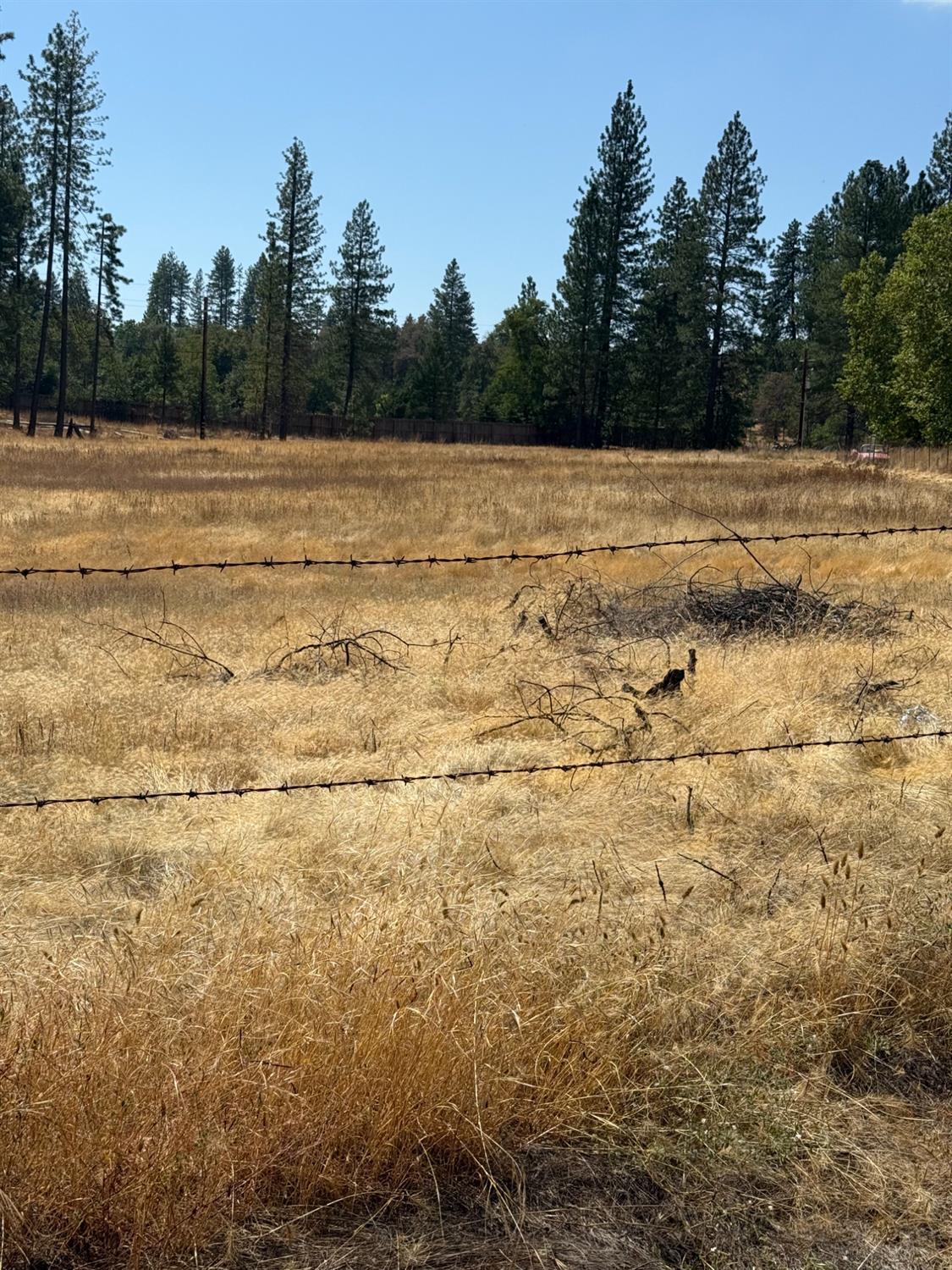 6479 Pine Dr., Coulterville, CA 96311