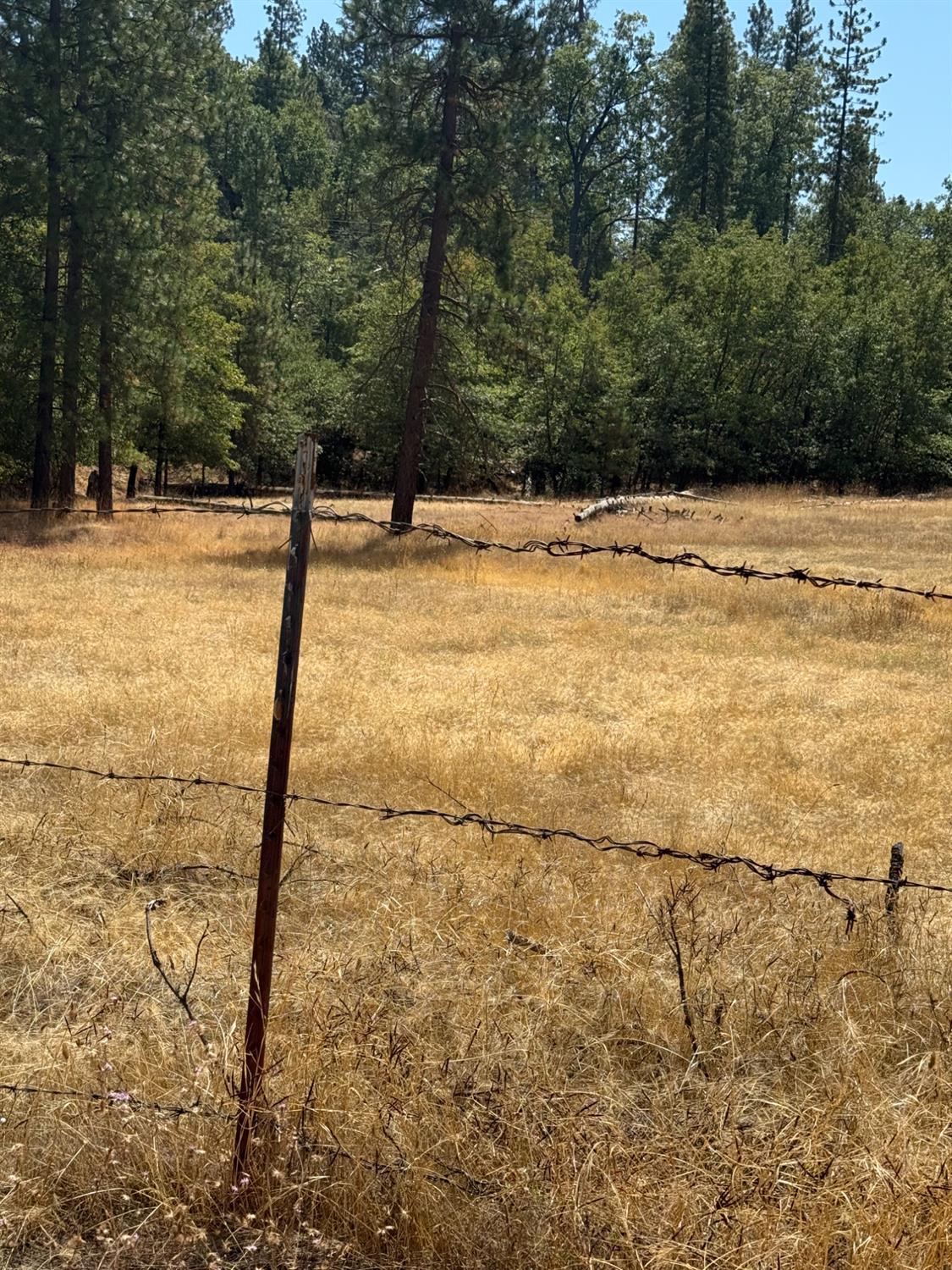 6479 Pine Dr., Coulterville, CA 96311