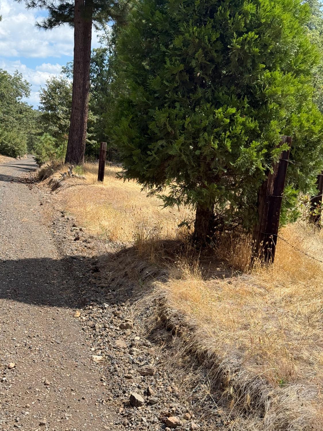 6479 Pine Dr., Coulterville, CA 96311