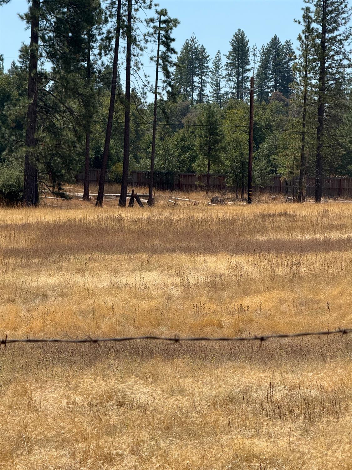 6479 Pine Dr., Coulterville, CA 96311