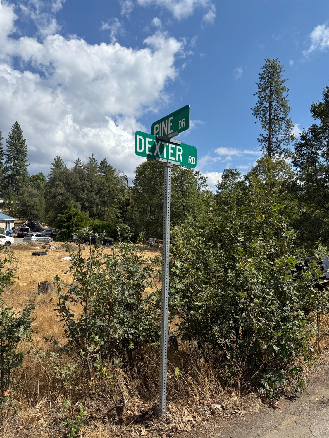 6479 Pine Dr., Coulterville, CA 96311